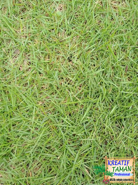 Gambar ini memiliki atribut alt yang kosong; nama berkasnya adalah 459867a7-bb18-4f8e-868a-7bd7afabbc37-1.jpg